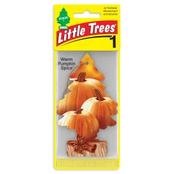 pino pumpkin spice